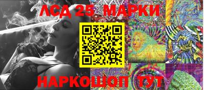 шишки Славгород