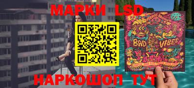 шишки Славгород