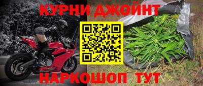 шишки Славгород