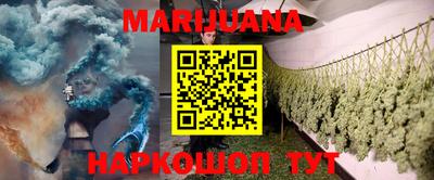 шишки Славгород