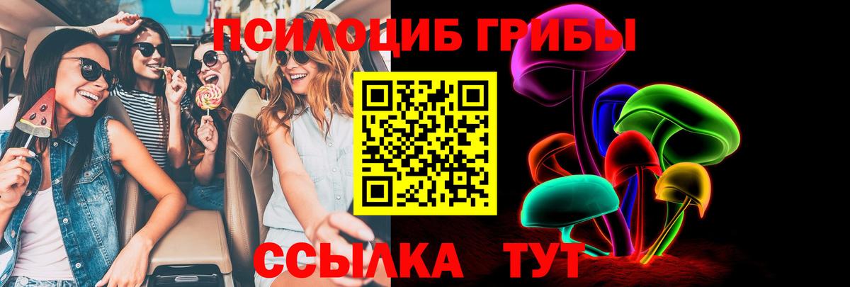 Псилоцибиновые грибы мухоморы  Псилоцибиновые грибы Psilocybe  Вход с VPN  Нижнеудинск 